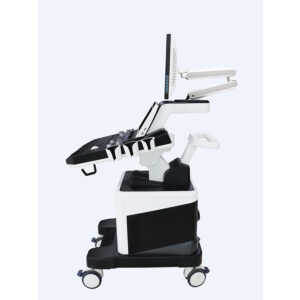 Portable Digital Ultrasound Scanner