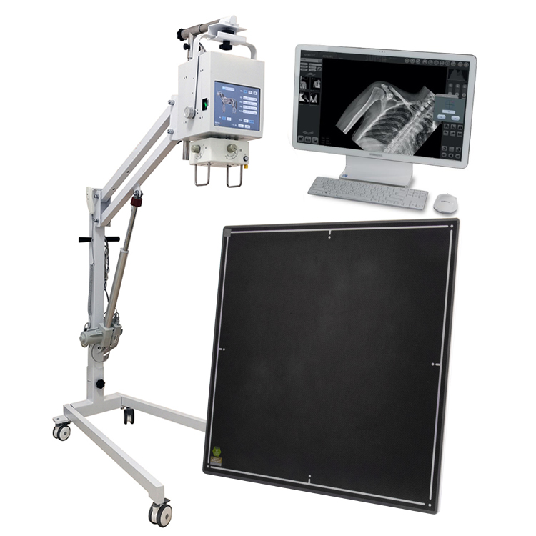 Wireless Flat Panel DR Detector for X-Ray
